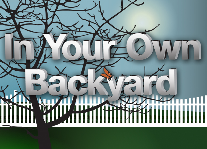 In Your Own Backyard | LOCAL PROGRAMS | WSRE